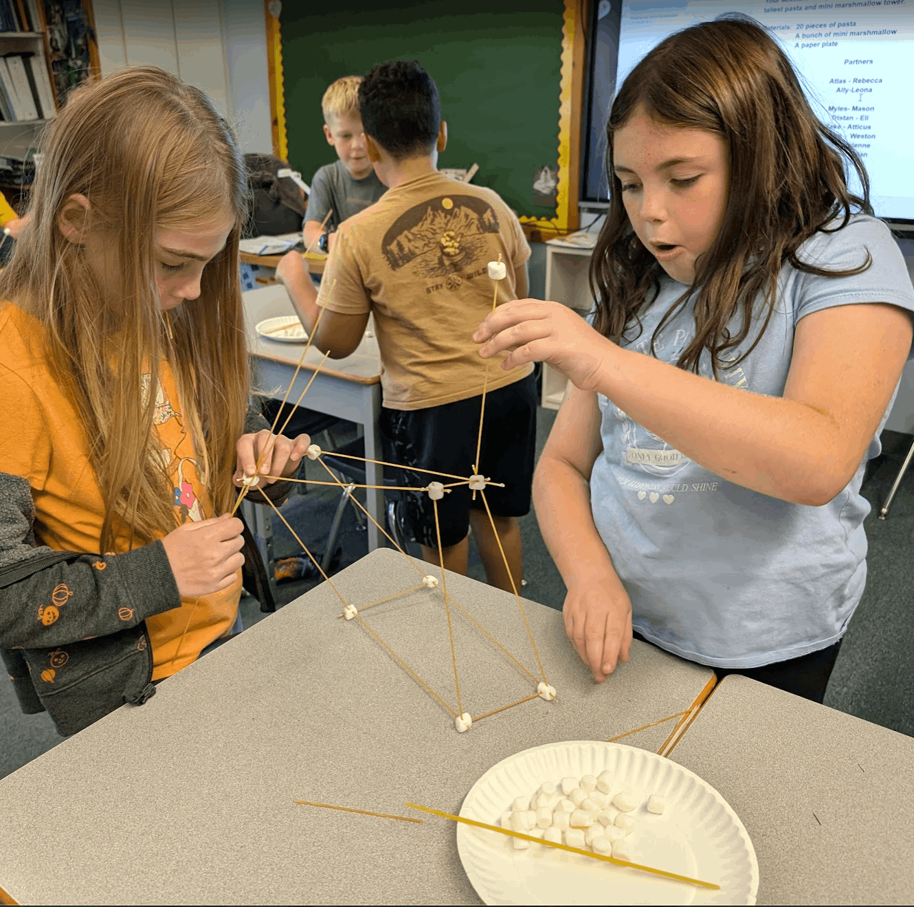 Students build a tower of pasta and marshmallows
